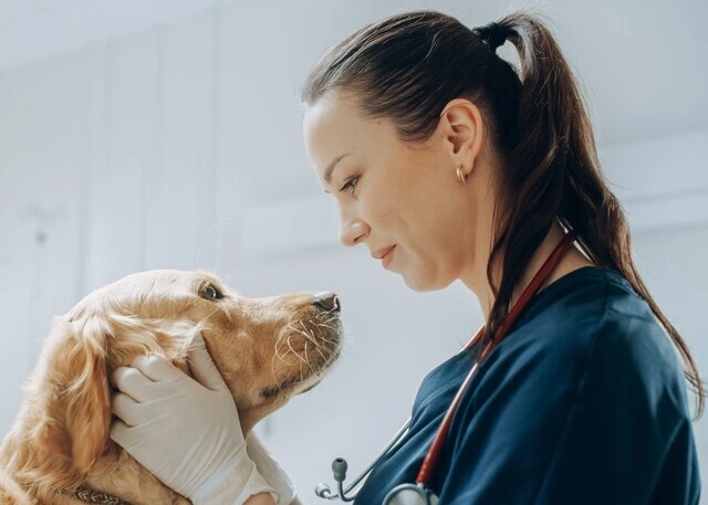 Pet Nutrition Ambassador Program